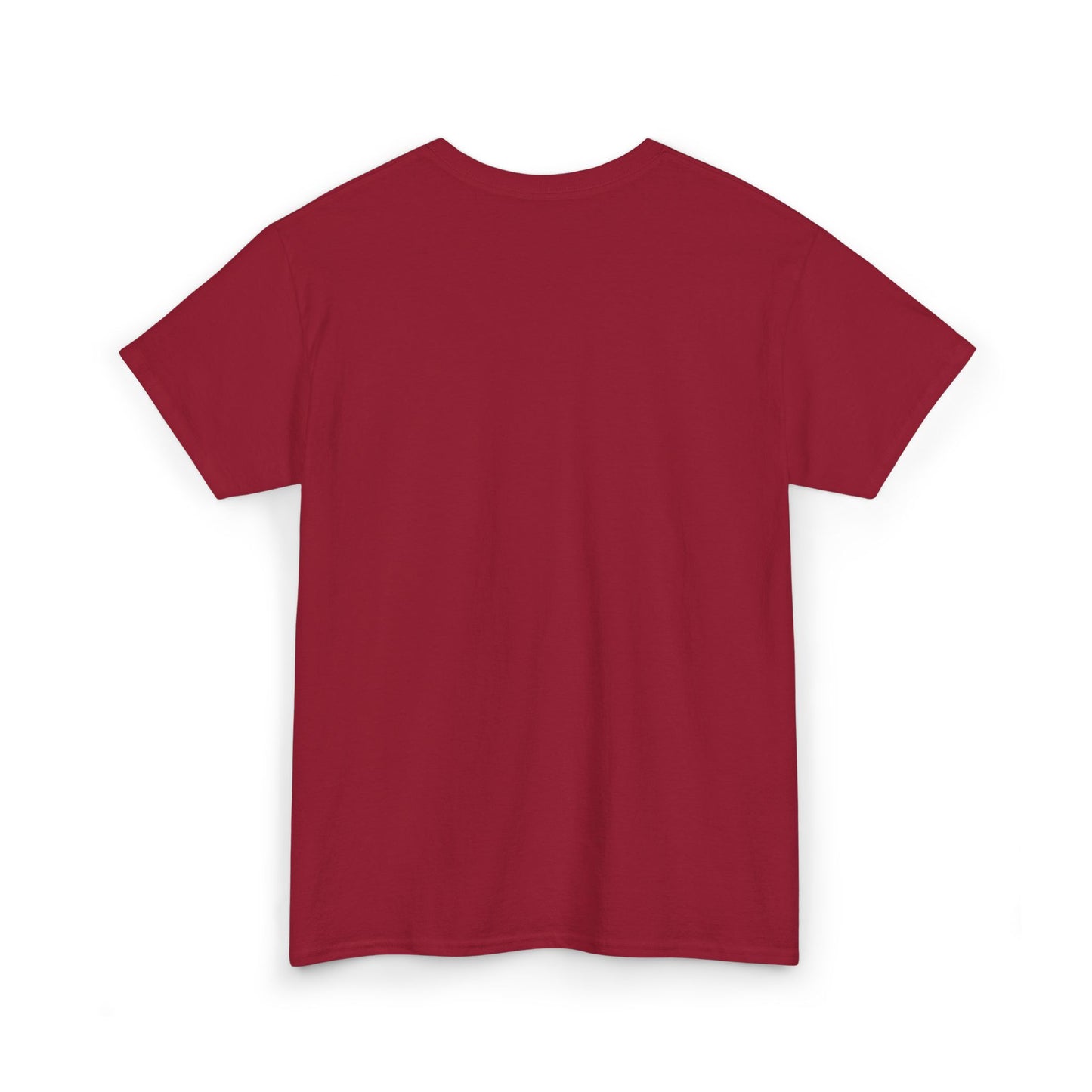 Persian Lion & Sun - Embroidered Tee