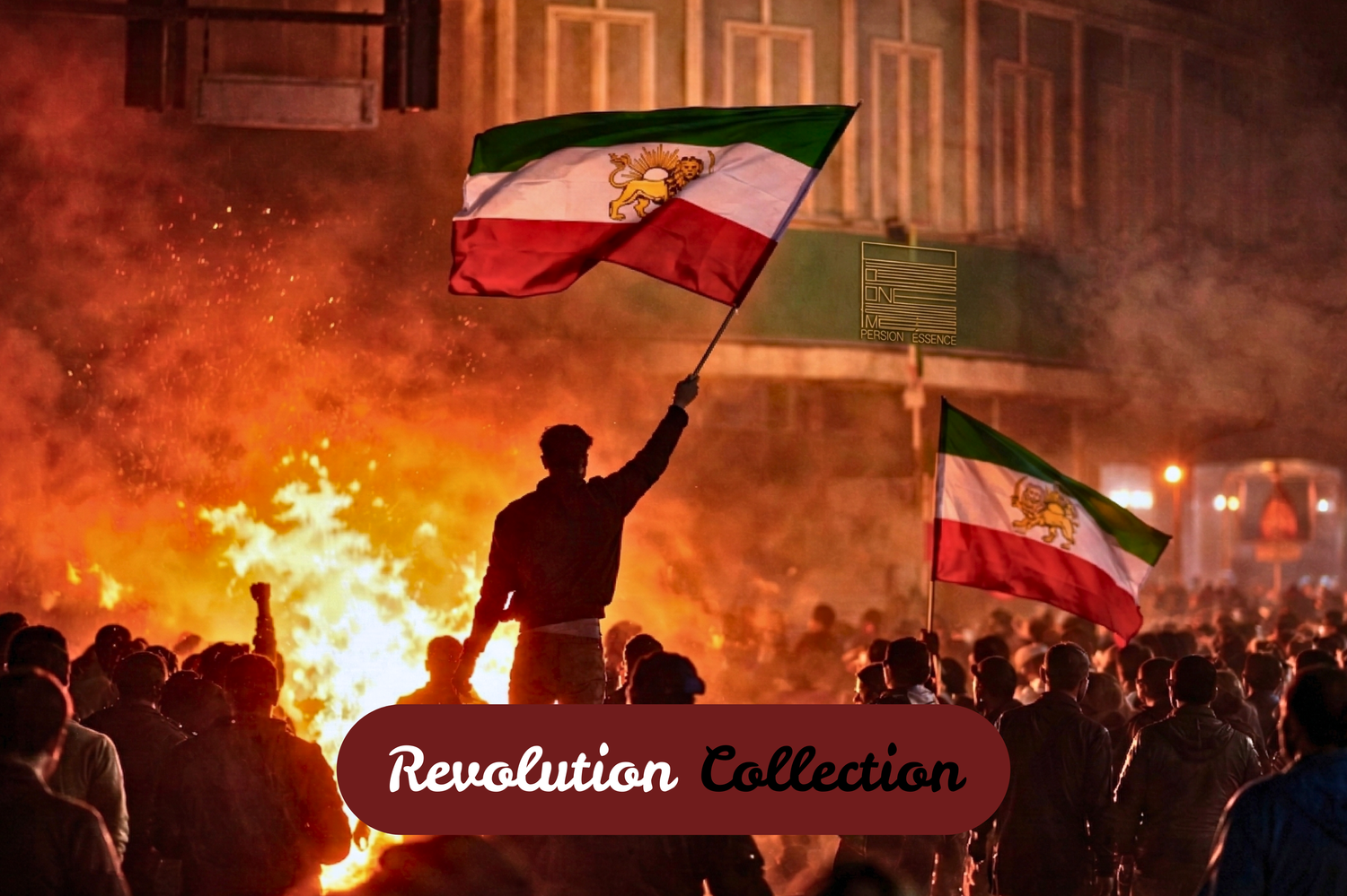 Echoes of Revolution Collection