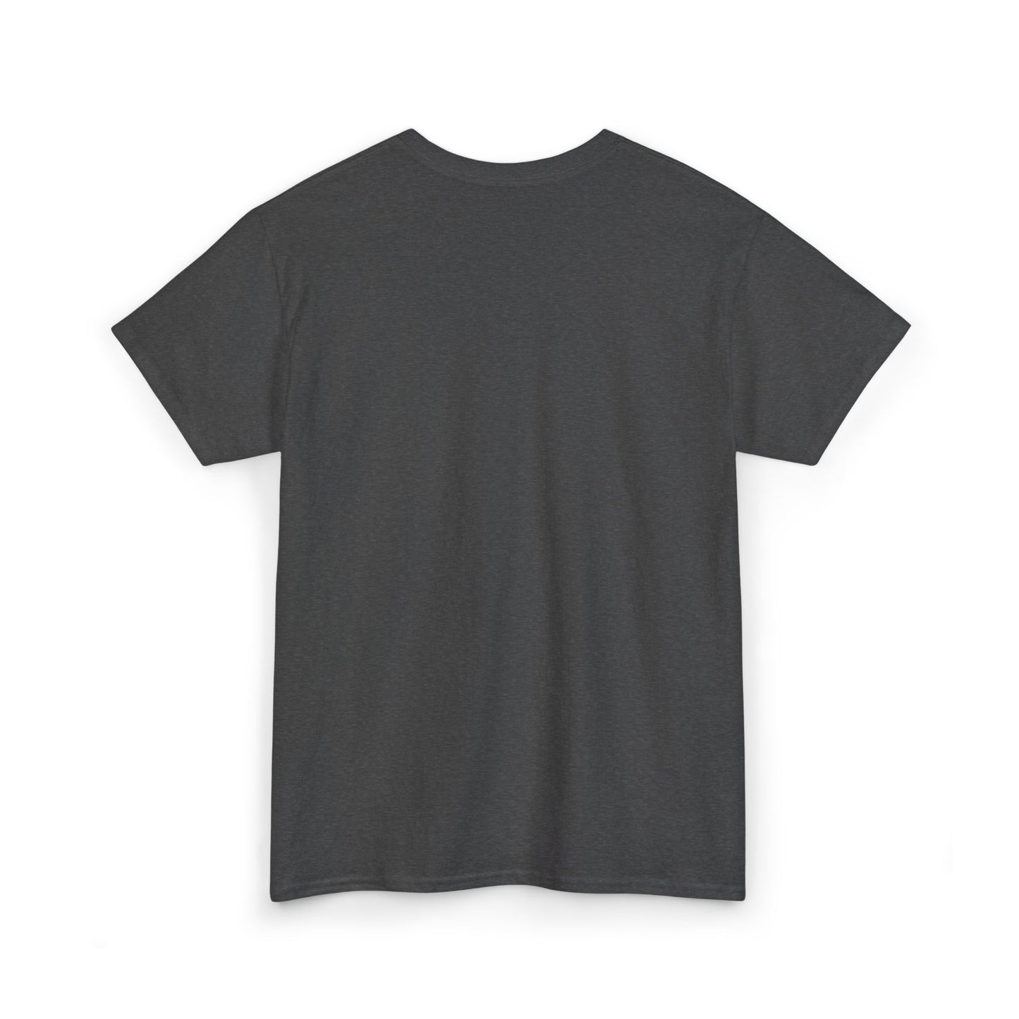 Persian Lion & Sun - Embroidered Tee