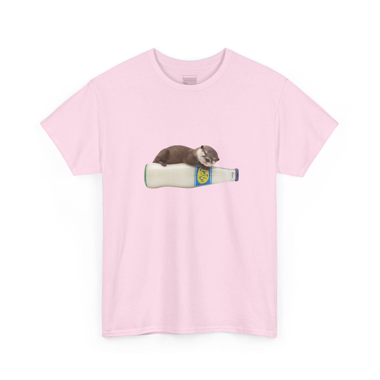 Otter sleeping on Ab-Ali