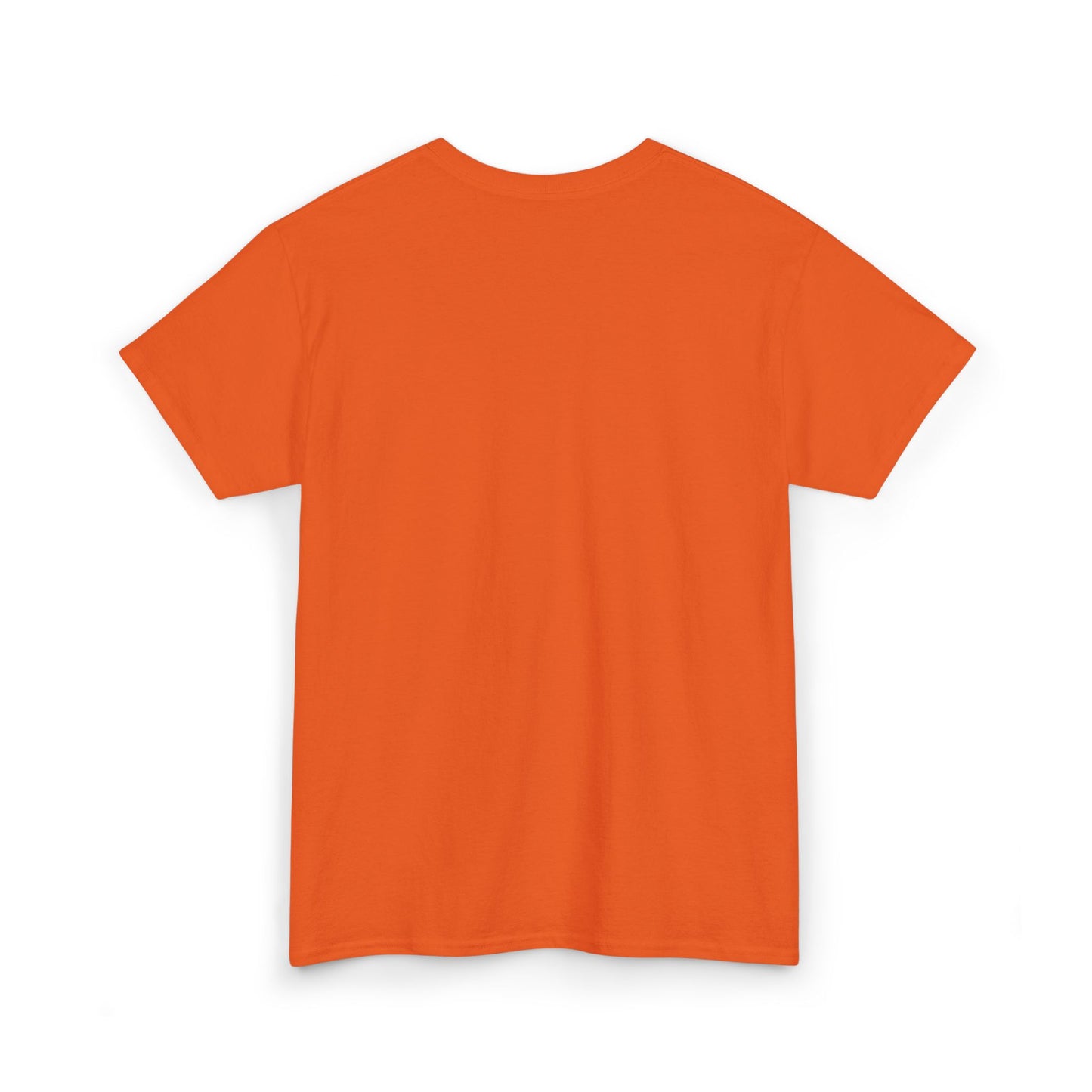 Persian Lion & Sun - Embroidered Tee