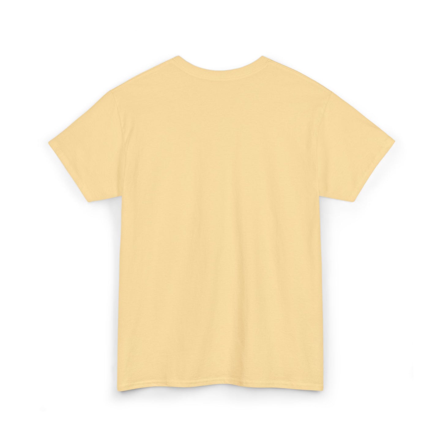 Persian Lion & Sun - Embroidered Tee